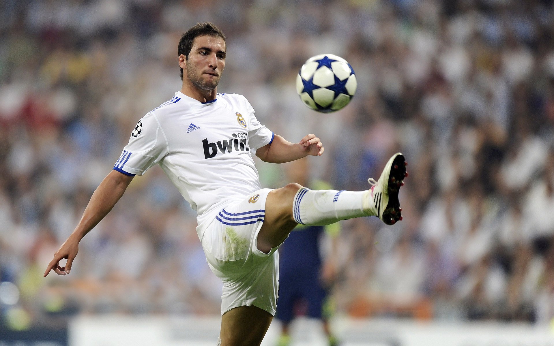 乐鱼电竞-年轻球员在欧洲杯舞台上完成惊艳亮相，2021年欧洲杯最年轻球员